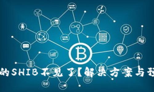 转到冷钱包的SHIB不见了？解决方案与预防措施详解