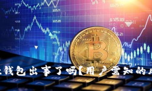 : TokenPocket钱包出事了吗？用户需知的风险与应对策略