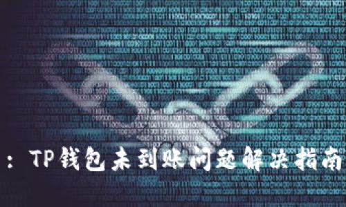 : TP钱包未到账问题解决指南