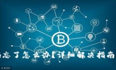 TP钱包支付密码忘了怎么办？详细解决指南与常见