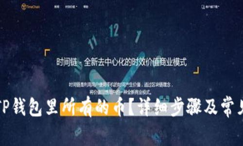 如何显示TP钱包里所有的币？详细步骤及常见问题解析