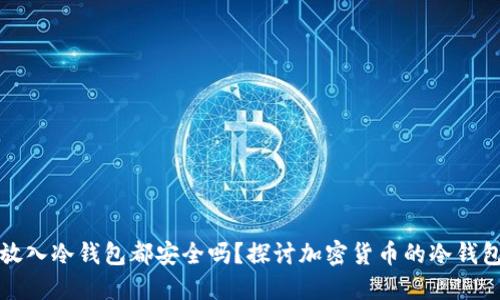 任何币放入冷钱包都安全吗？探讨加密货币的冷钱包安全性