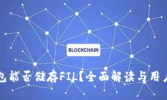 TP钱包能否储存FIL？全面解读与用户指南